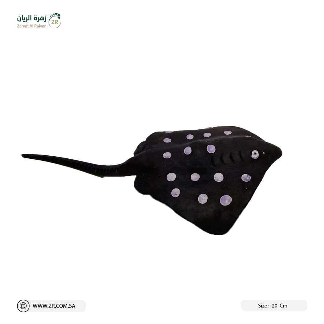 IMG-20220802-WA0002 ديكور حوض سمك