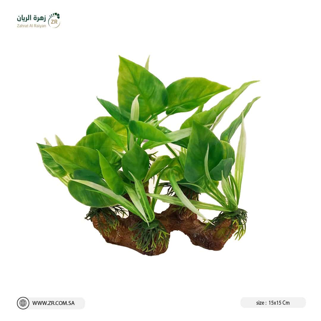 IMG-20220809-WA0014 شجيرات حوض سمك