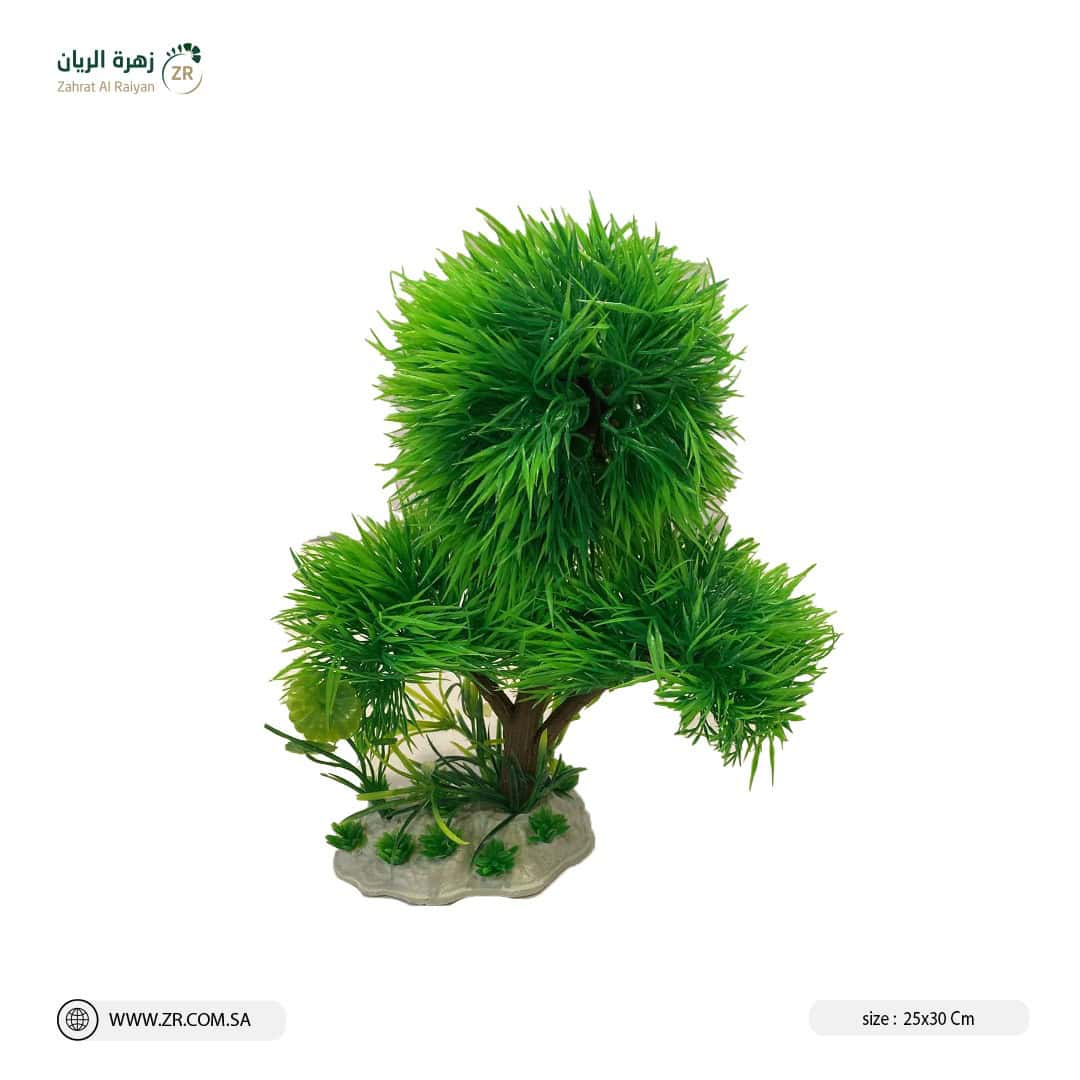 IMG-20220809-WA0022 شجر حوض سمك
