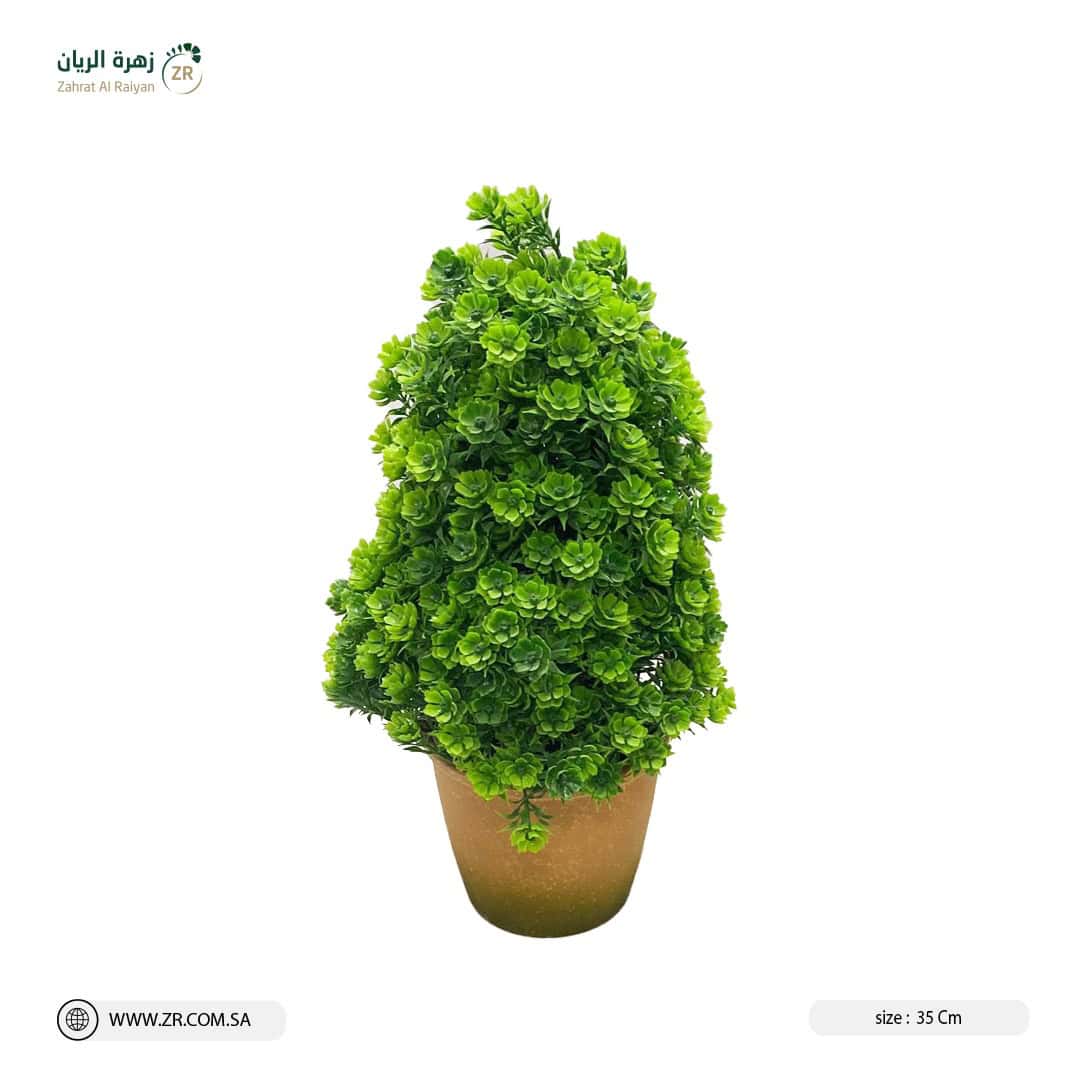 IMG-20220809-WA0043 شجيرات للحدائق