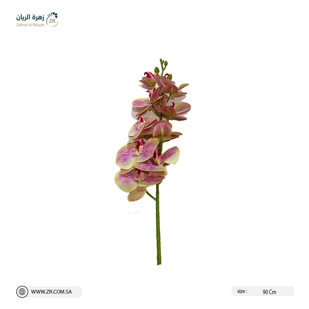 IMG-20220830-WA0012 زهور الأوركيد الصناعية