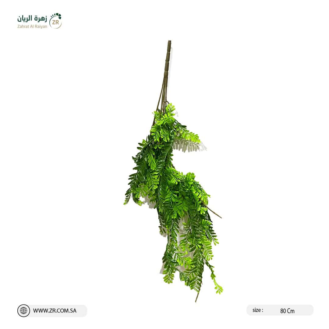 IMG-20220830-WA0015 نبات سرخس صناعي