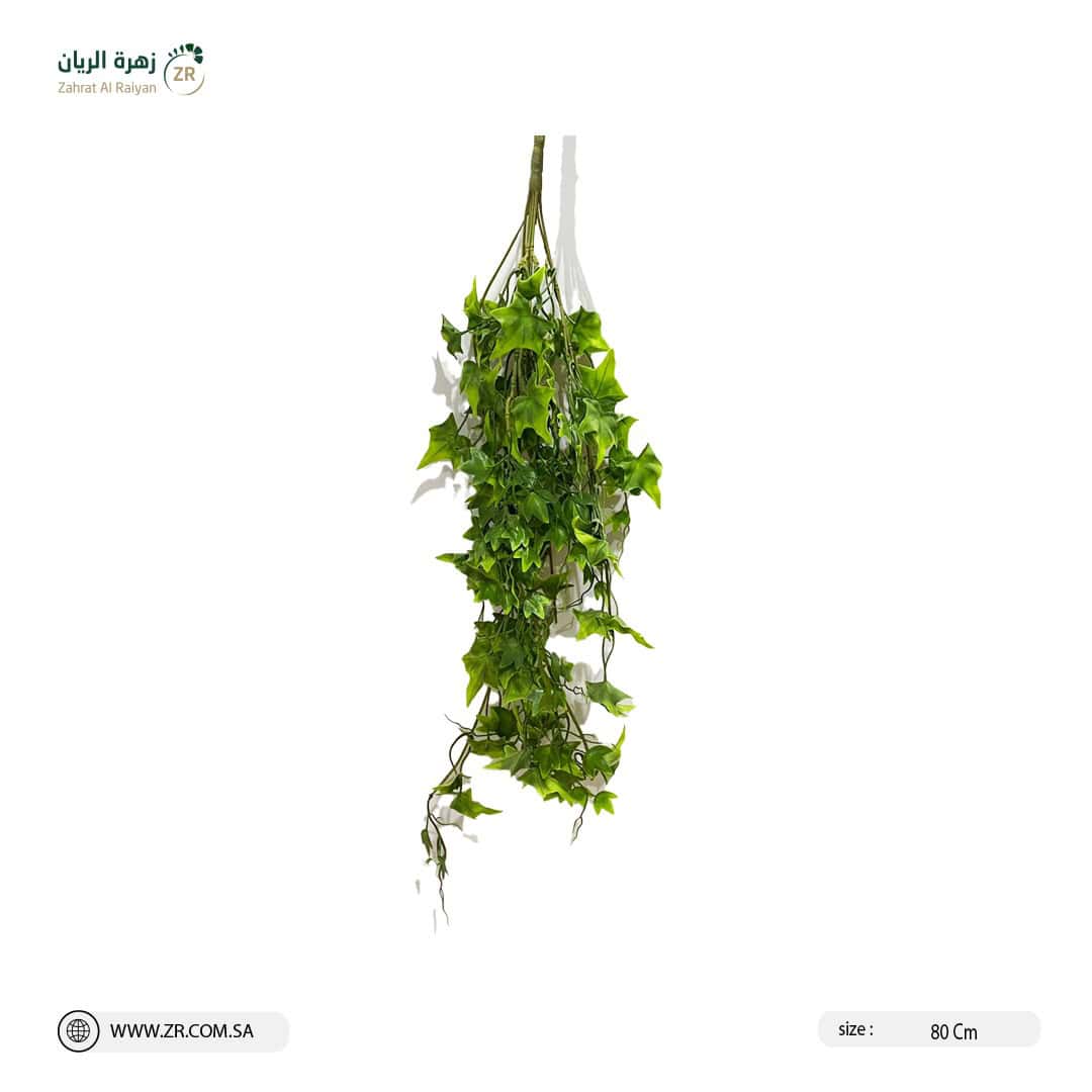 IMG-20220830-WA0018 نبات اللبلاب الصناعي المميز