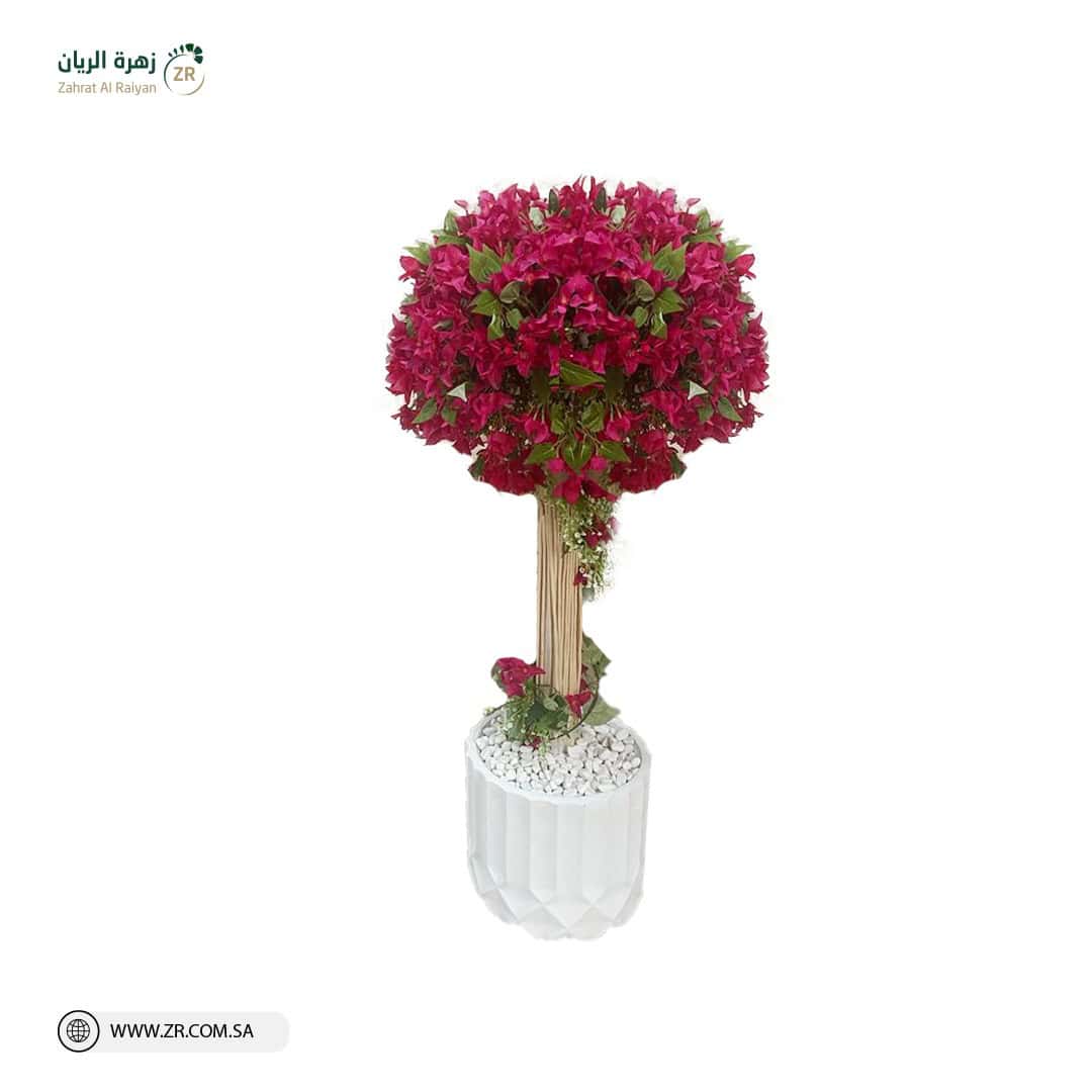 IMG-20220910-WA0008 تنسيق شجرة الجهنمية