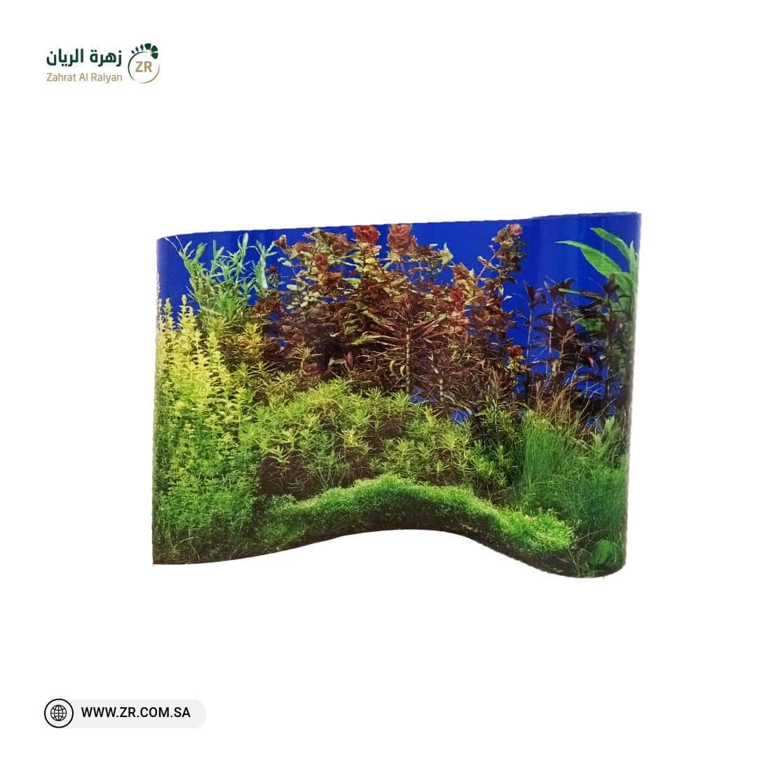 b6bb179e-4ba0-499c-b16c-fad98e7574f1 ورق خلفية حوض سمك