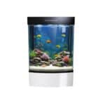 A distinctive decorative aquarium inside your home