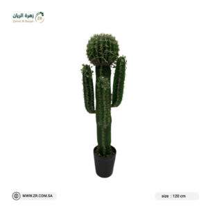 Special cactus tree