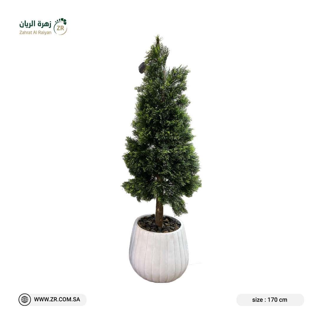 IMG-20221221-WA0001 حوض زرع منسق
