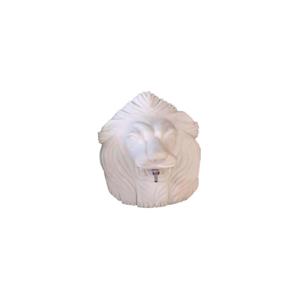 Imported Lion Face Fountain Head Fountain head on lion's face