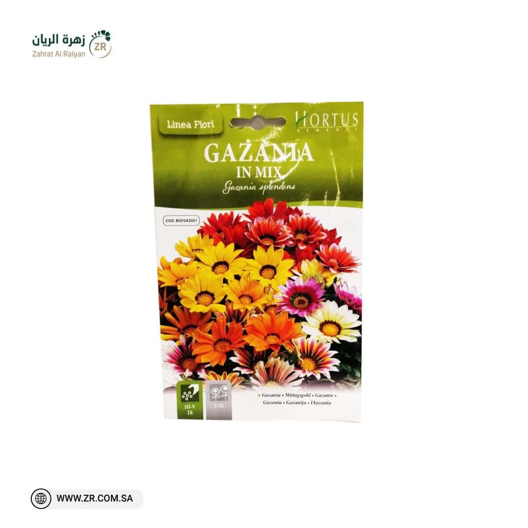 WhatsApp Image 2024-01-04 at 09.09.17_9d9e191f بذور ازهار غازينيا - الصورة 1