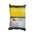 Honey Cat