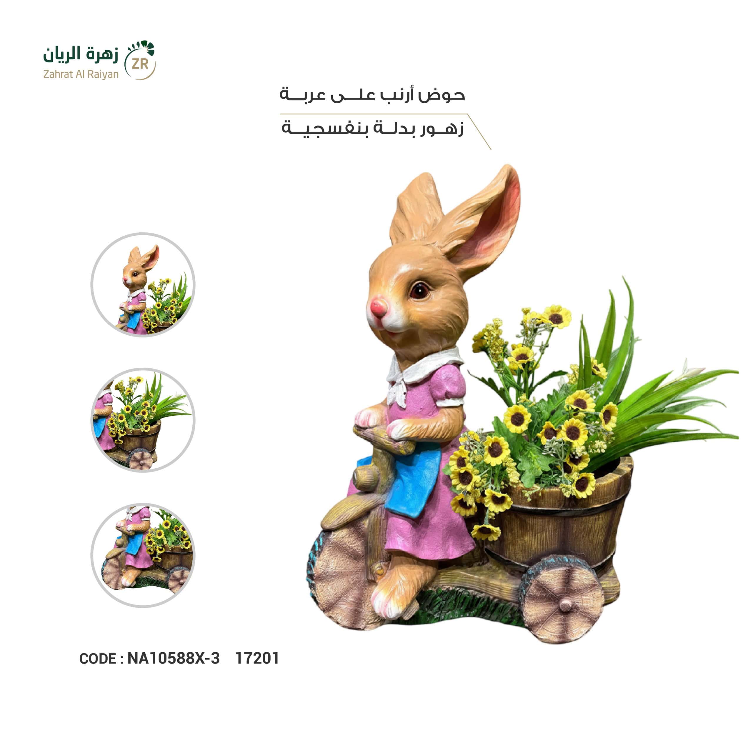 IMG-20260216-WA0199 حوض ارنب على عربة زهور بدلة بنفسجية - الصورة 1