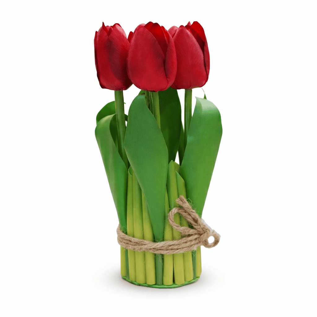 file_0000000058887246a7834f044089053f حزمة ورد توليب لون احمر - الصورة 1