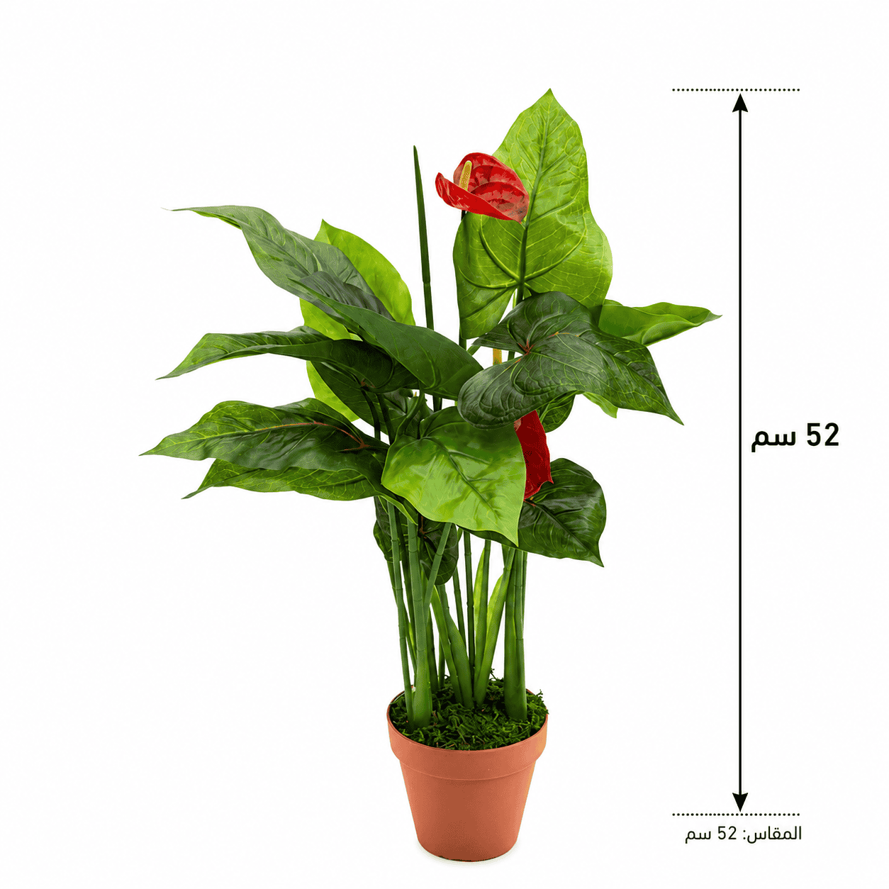 0BCF64BC-EB21-4243-87C3-A883E09EC331 نبات صناعي مقاس 52cm - الصورة 1