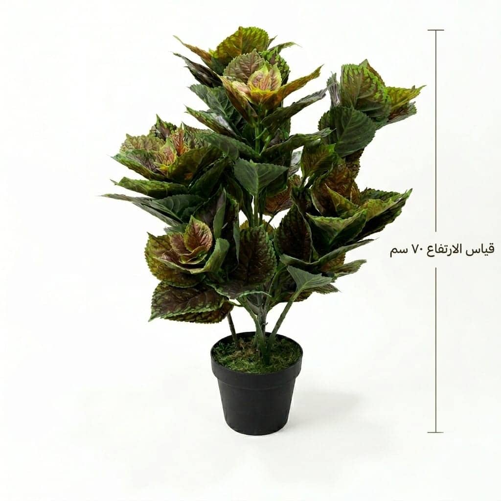 IMG-20260624-WA0017 شجرة صناعية مقاس 70سم - Image 1