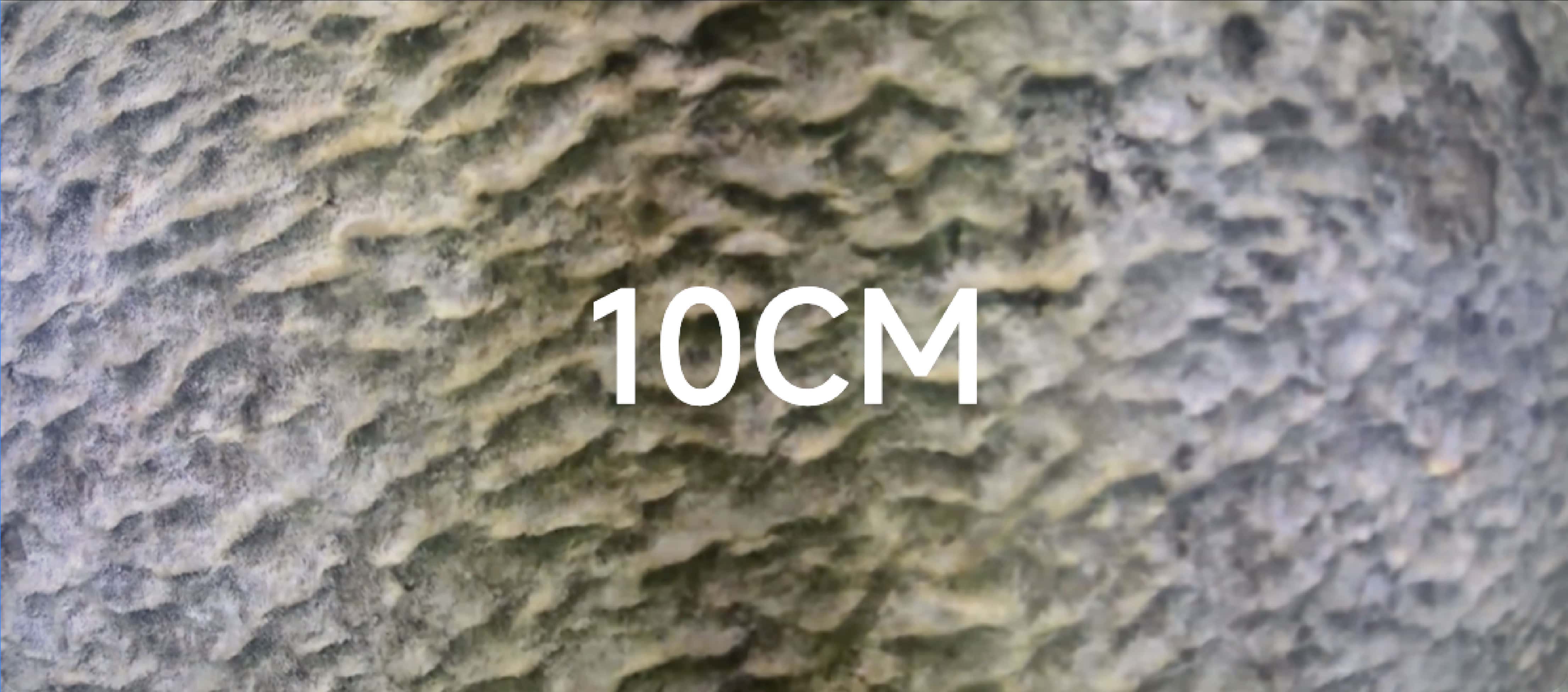 Macro Focus Precision