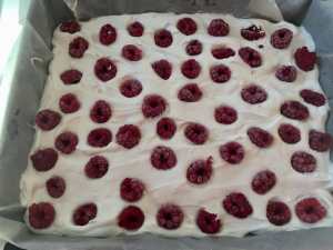 Mrożone maliny na budyniowej piance