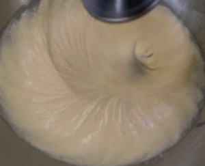 Sernik leśny - 05C1CE89 D547 4E74 9BCF 413B62F40FED