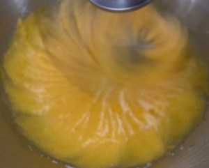 Sernik leśny - 8F1F6DB1 F01B 4DC3 8BD5 232E640E580B