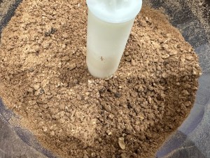 Sernik na zimno z białą czekoladą i malinami - IMG 3406