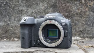The Canon EOS R7 camera sitting on a stone step