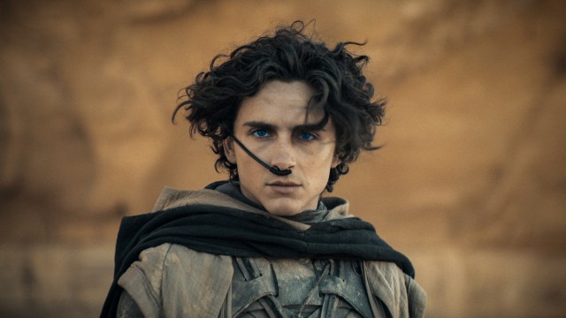 Paul Ateides stars directly into the camera in Dune: Part Two