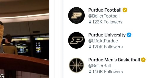 Twitter Blue and Gold