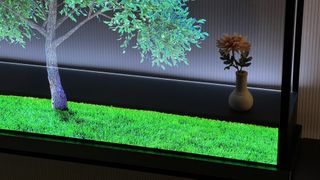 LG Signature OLED TV transparent TV