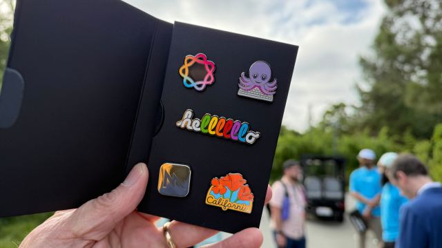 WWDC 2025 pins