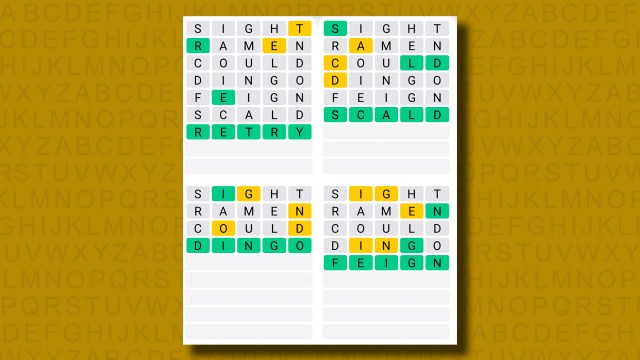 Quordle answers for game 1239 on a yellow background