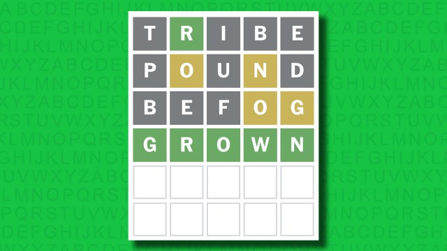 NYT Wordle answer for game 1428 on a green background