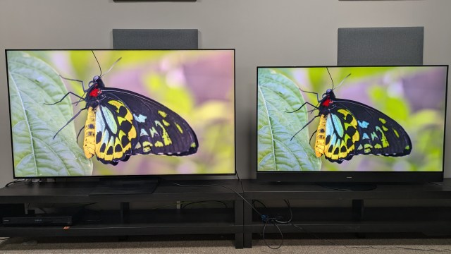 TCL C7K mini-LED left and Panasonic MZ1500 OLED right displaying a butterfly on screen