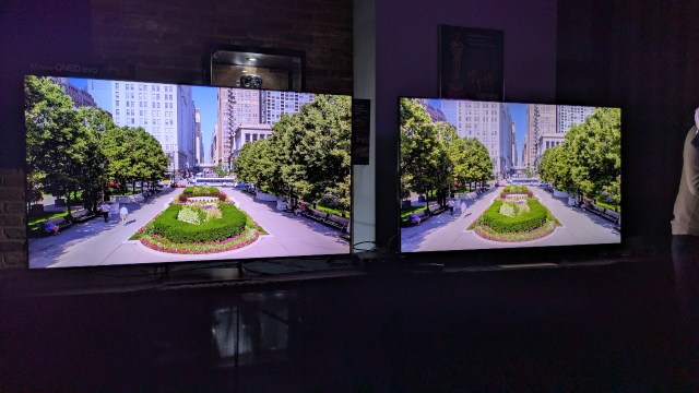 The LGQNED93 and LG QNED91 with garden on screen