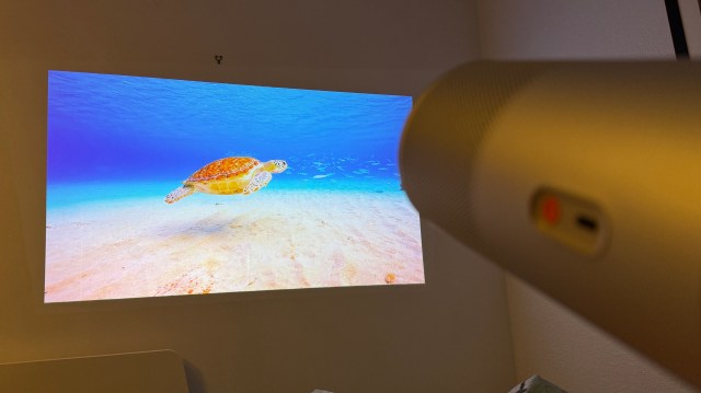 The XGIMI MoGo 4 portable projector projecting an image of a sea turtle