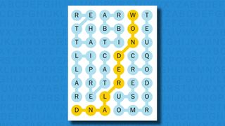 NYT Strands answers for game 323 on a blue background