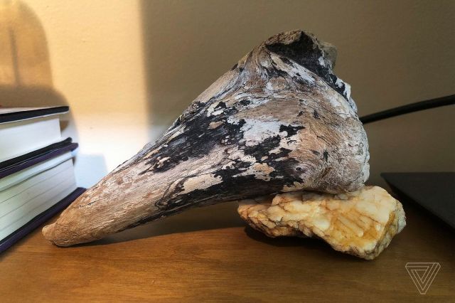 Driftwood from the shores of the San Juan Islands