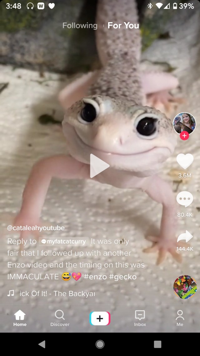 Shorter TikTok videos may not have the white line.