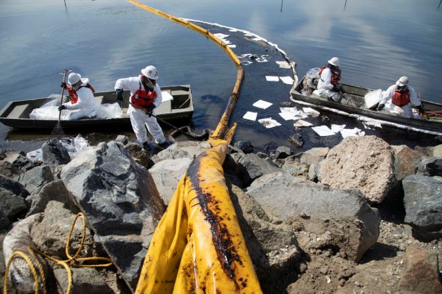 huntington beach oil spill talbert marsh