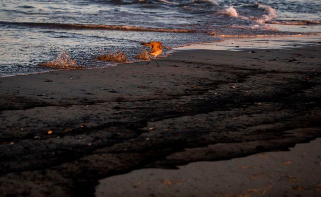 Major oil spill in Huntington Beach
