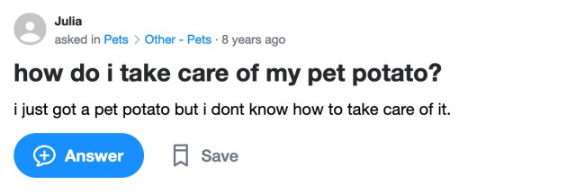 Yahoo Answers: how do i take care of my pet potato? i just got a pet potato but i dont know how to take care of it.