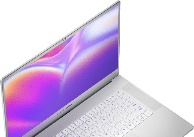 You can make out the keys and speaker grille, as well as the webcam