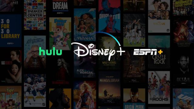 Disney Streaming Services