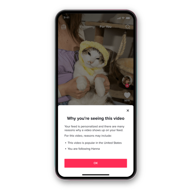 A screen appearing on top of a TikTok video titled, “Why you’re seeing this video” with a short explanation.