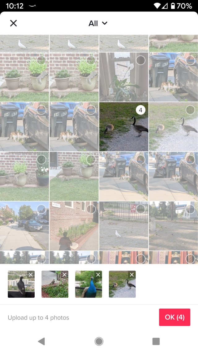 Select the photos that you want to include.