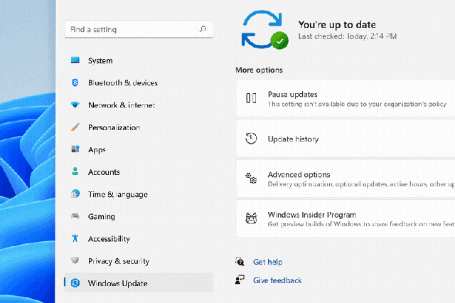 A settings menu on Windows 11 with illustrated icons