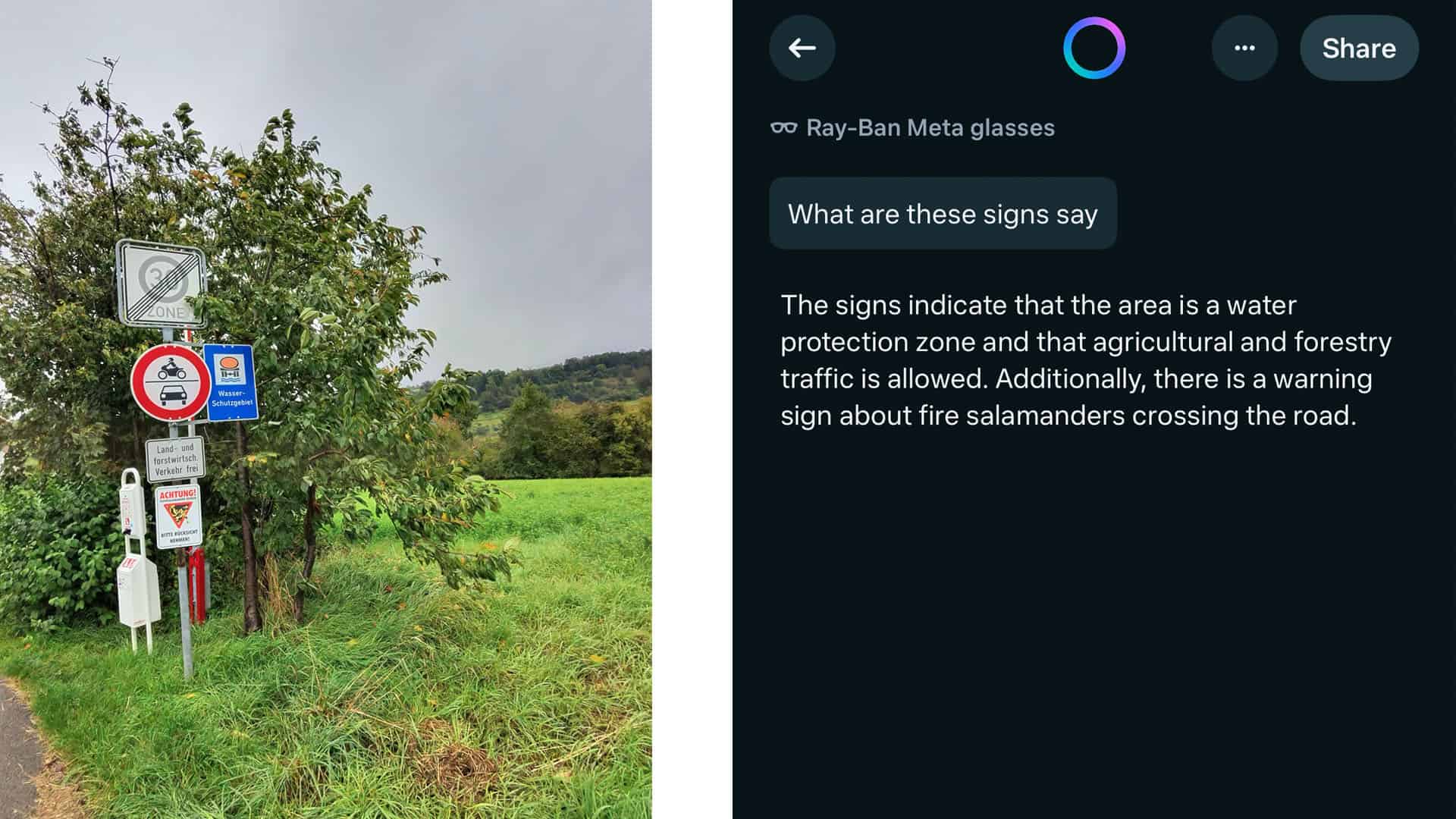 Meta AI was able to translate these signs (left) when I asked it "what do these signs say?"