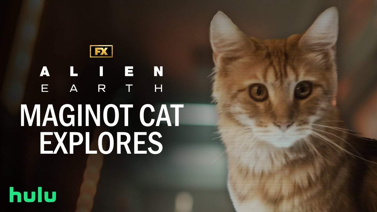 Maginot Cat Explores Weyland-Yutani Ship | Alien: Earth | FX - YouTube