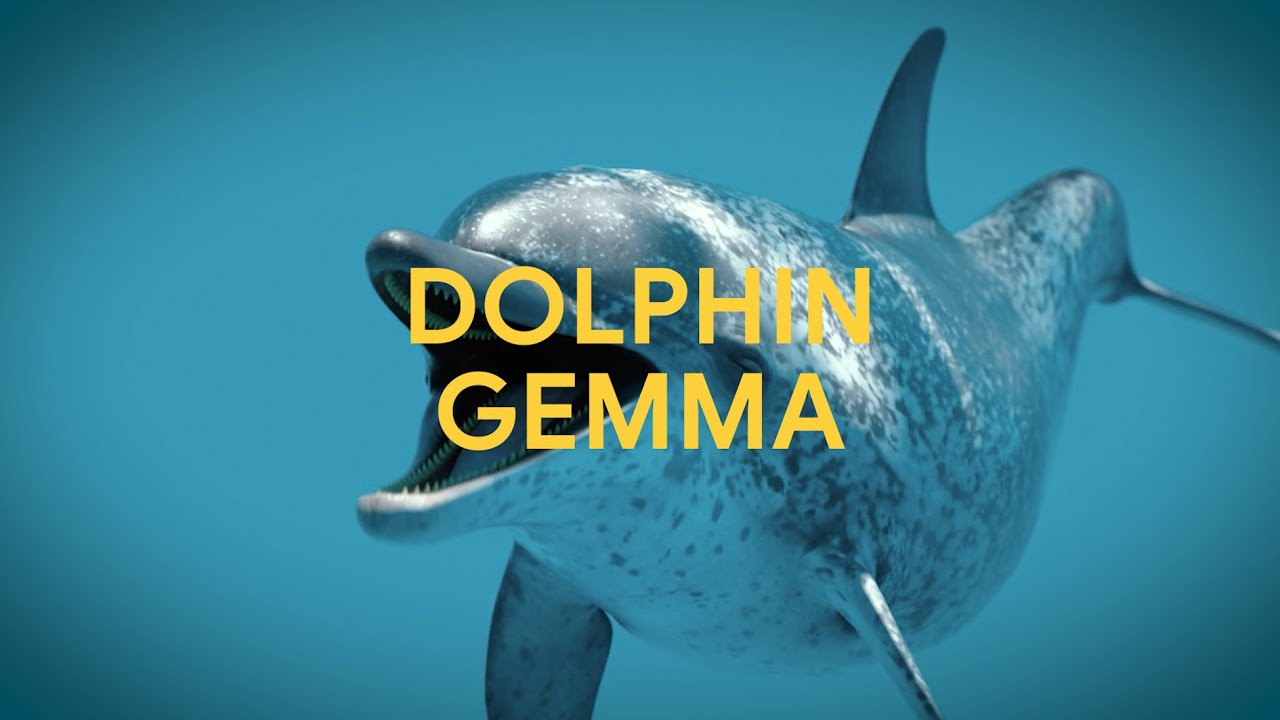 DolphinGemma: How Google AI is helping decode dolphin communication - YouTube