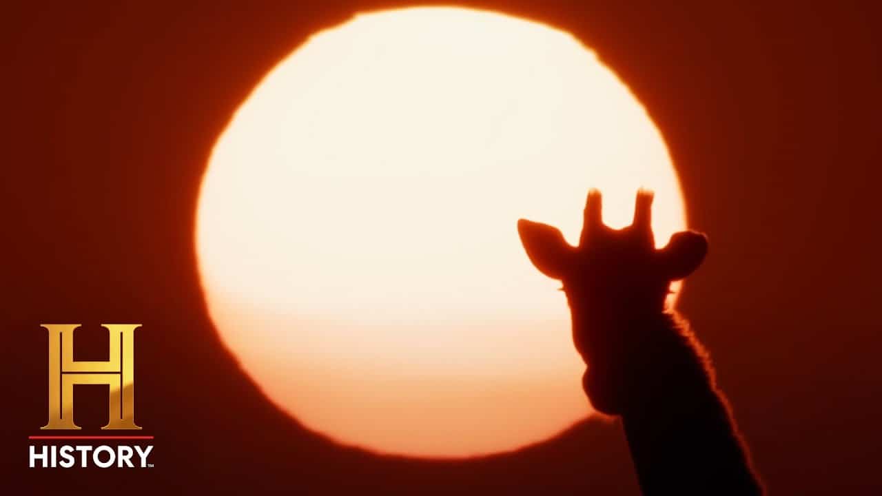ALONE Africa: Extended Sneak Peek - YouTube