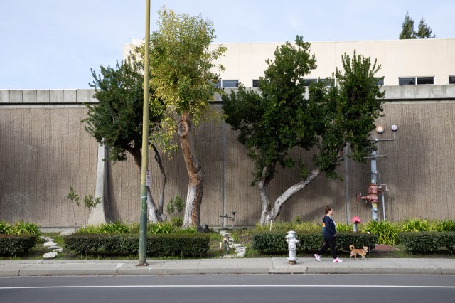 A person walks a dog on a sidewalk that runs along a tall concrete wall.
